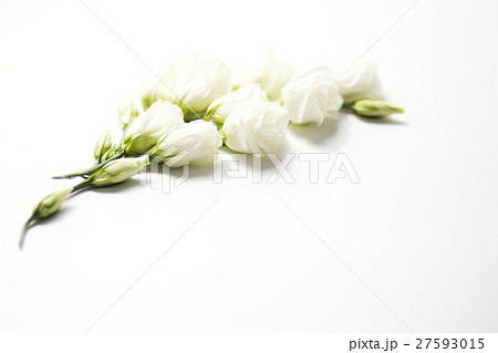 White flowers White flowers 27593015