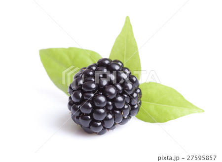 Blackberries Blackberries 27595857