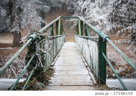 Iron bridge in the park leading over the river Iron bridge in the park leading over the river 27596159