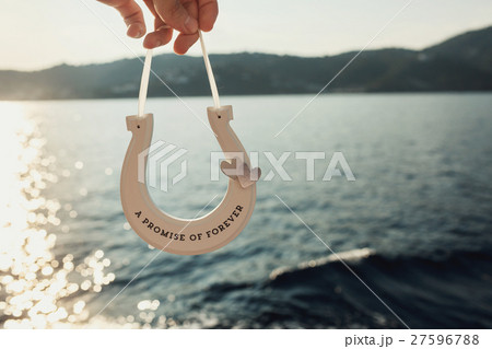 Wooden horseshoe with lettering  27596788