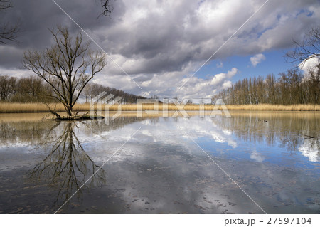 Nature reserve near Dordrecht 27597104