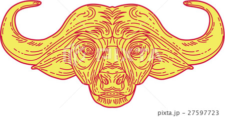 African Buffalo Head Mono Line 27597723
