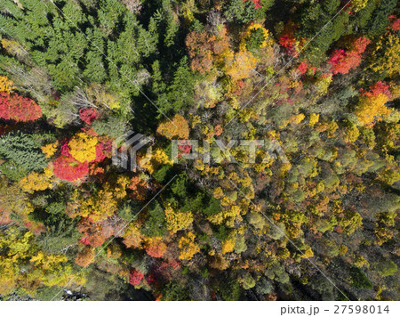 秋の恵庭渓谷（空撮 真俯瞰） 27598014