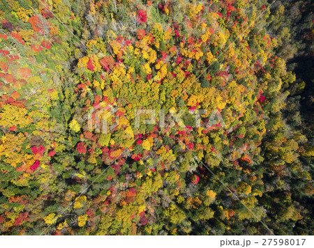 秋の恵庭渓谷（空撮 真俯瞰） 27598017
