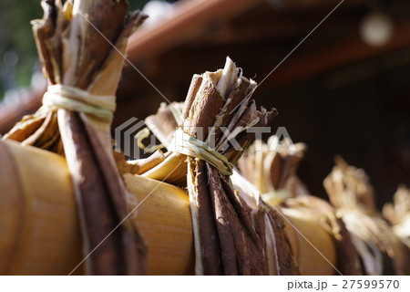 お札の里 27599570