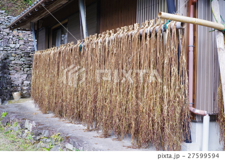 お札の里 27599594