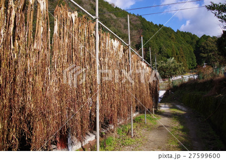 お札の里 27599600