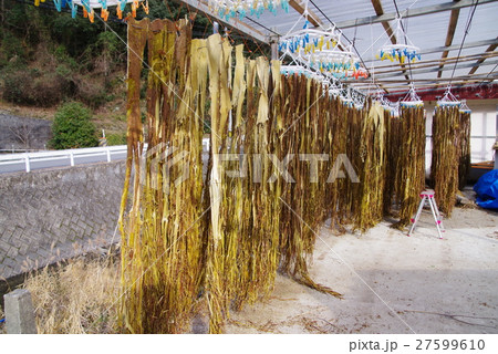 お札の里 27599610