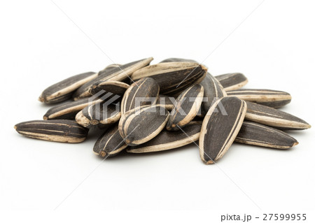 ひまわりの種: Sunflower seeds 27599955