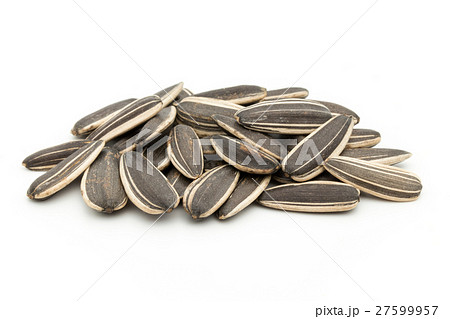 ひまわりの種: Sunflower seeds 27599957