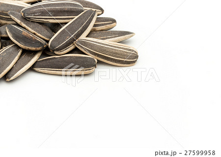 ひまわりの種: Sunflower seeds ひまわりの種: Sunflower seeds 27599958