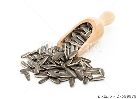 ひまわりの種: Sunflower seeds 27599979