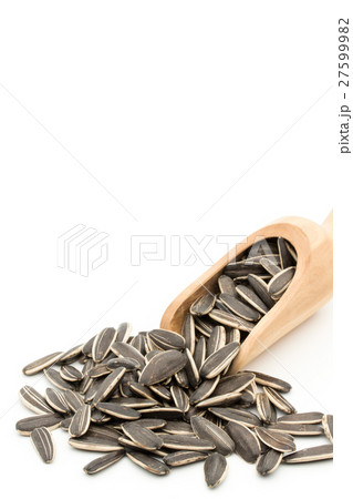 ひまわりの種: Sunflower seeds 27599982