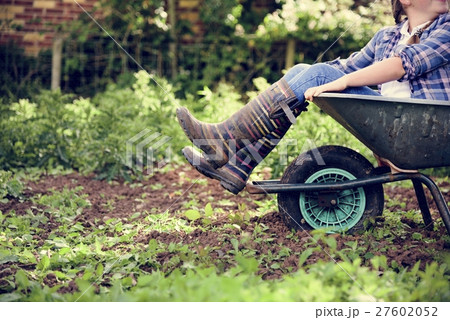 Cultivate Garden Nature Seasonal Growth Concept Cultivate Garden Nature Seasonal Growth Concept 27602052