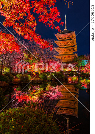 京都 東寺の紅葉 夜景 京都 東寺の紅葉 夜景 27606615