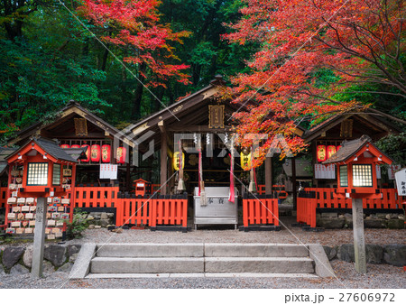 京都　野宮神社の紅葉 27606972