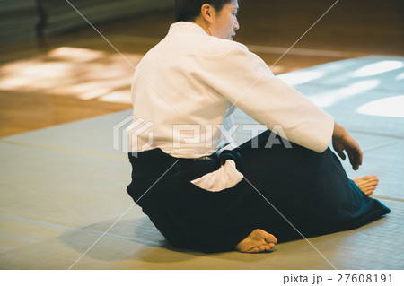 martial artist 27608191