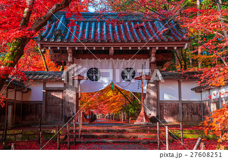 京都 光明寺の紅葉 京都 光明寺の紅葉 27608251