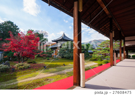 京都　鹿王院の紅葉 27608475