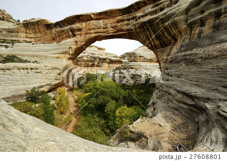 ナチュラルブリッジ 27608801