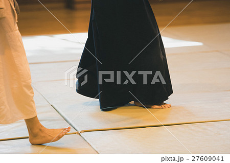 martial artist martial artist 27609041