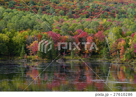 カナダの紅葉 27610286