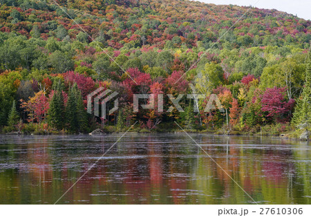カナダの紅葉 カナダの紅葉 27610306