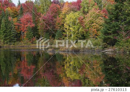 カナダの紅葉 27610313