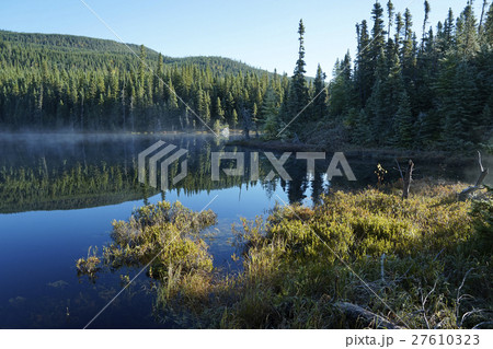 カナダの紅葉 27610323
