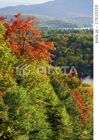 カナダの紅葉 27610330