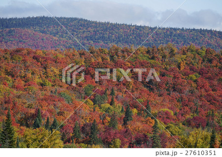 カナダの紅葉 カナダの紅葉 27610351
