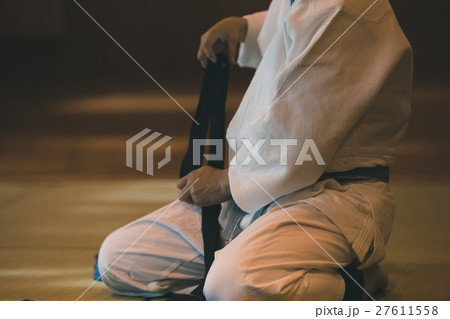 martial artist 27611558