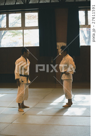 martial artist martial artist 27611591