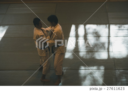 martial artist martial artist 27611623