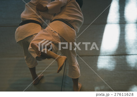 martial artist martial artist 27611628