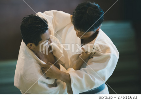 martial artist martial artist 27611633