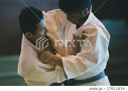 martial artist 27611634