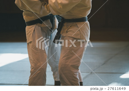 martial artist martial artist 27611649