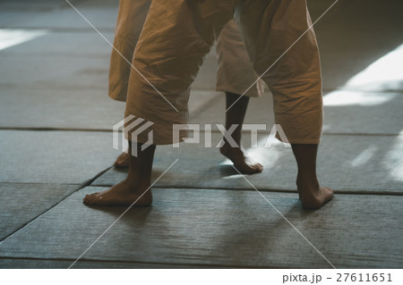 martial artist martial artist 27611651