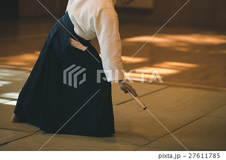 martial artist martial artist 27611785