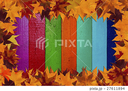maple leaves and multicolored background 27611894