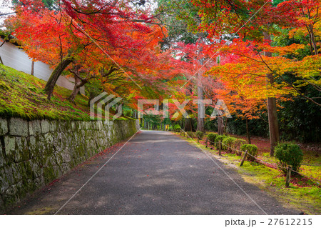 京都 曼殊院の紅葉 京都 曼殊院の紅葉 27612215