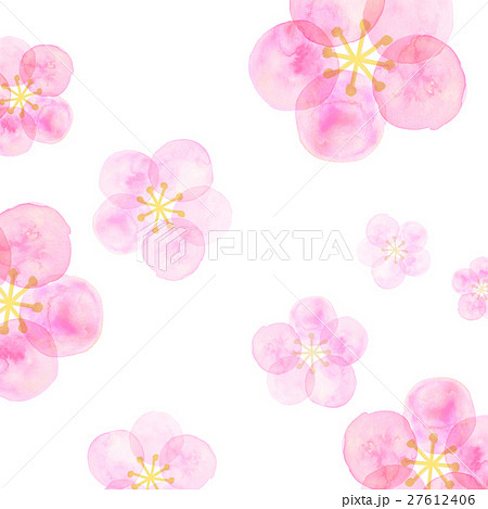 すべての美しい花の画像 エレガント水彩 梅 の 花 イラスト
