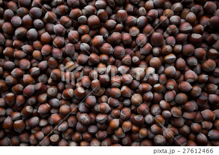 background of the hazelnut background of the hazelnut 27612466