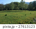 春の景色 27613123