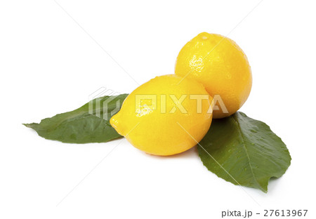 Lemons with leaves 27613967
