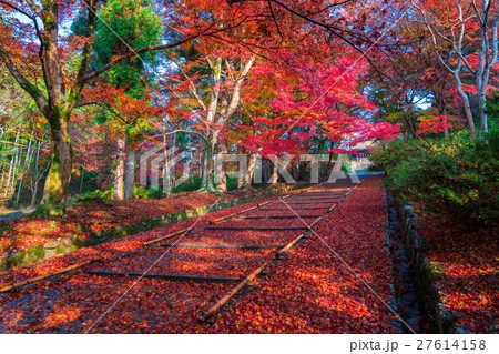 京都　毘沙門堂の紅葉　 27614158