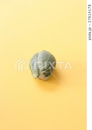芽キャベツ 27614178