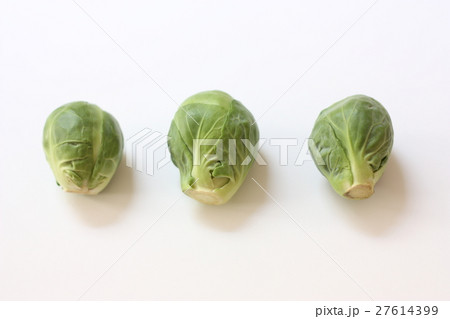 芽キャベツ 27614399