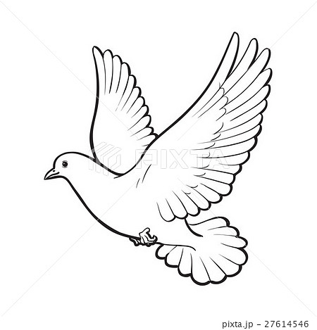 Free Flying White Dove Isolated Sketch Styleのイラスト素材